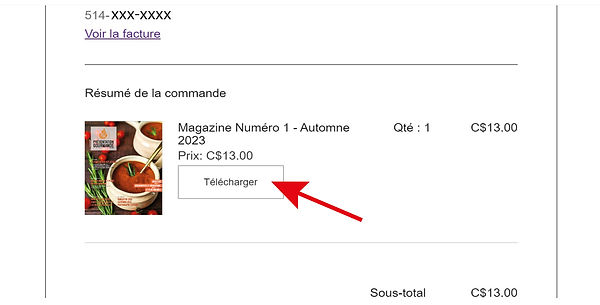 Bouton télécharger.jpg