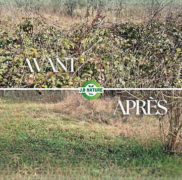 Réseaux sociaux (4).jpg