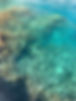 2155D813-0695-4585-A1D0-8587A458B224.jpeg