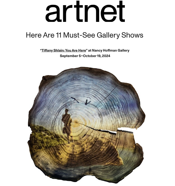 Untitled design (36).png