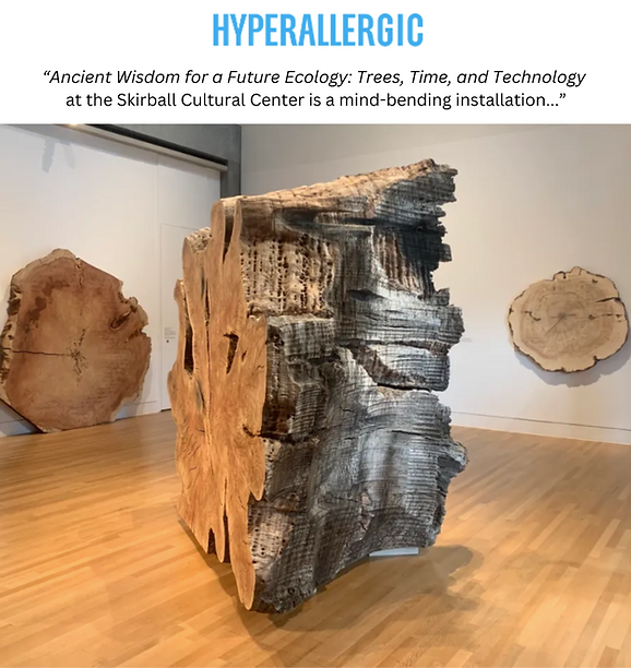 Instagram Post (Square) (11).png