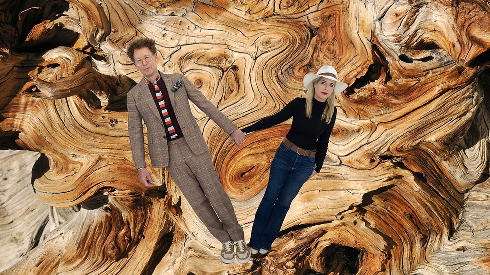 ANCIENT WISDOM CLOSING @ di ROSA SF