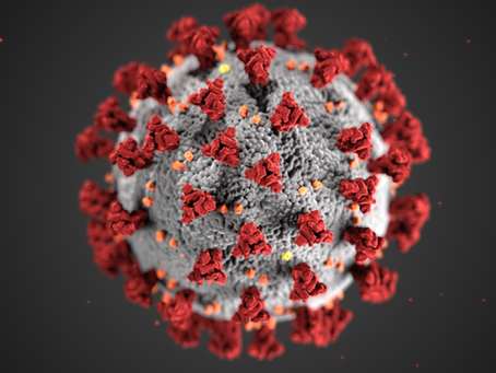 COVID-19 - Virus Deep Cleaning Services and Window Cleaning
