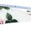 Miniatura: NWOT DOLCE & GABBANA Cotton 2 38 IT White Rose Print Tie Waist Button Up Shirt