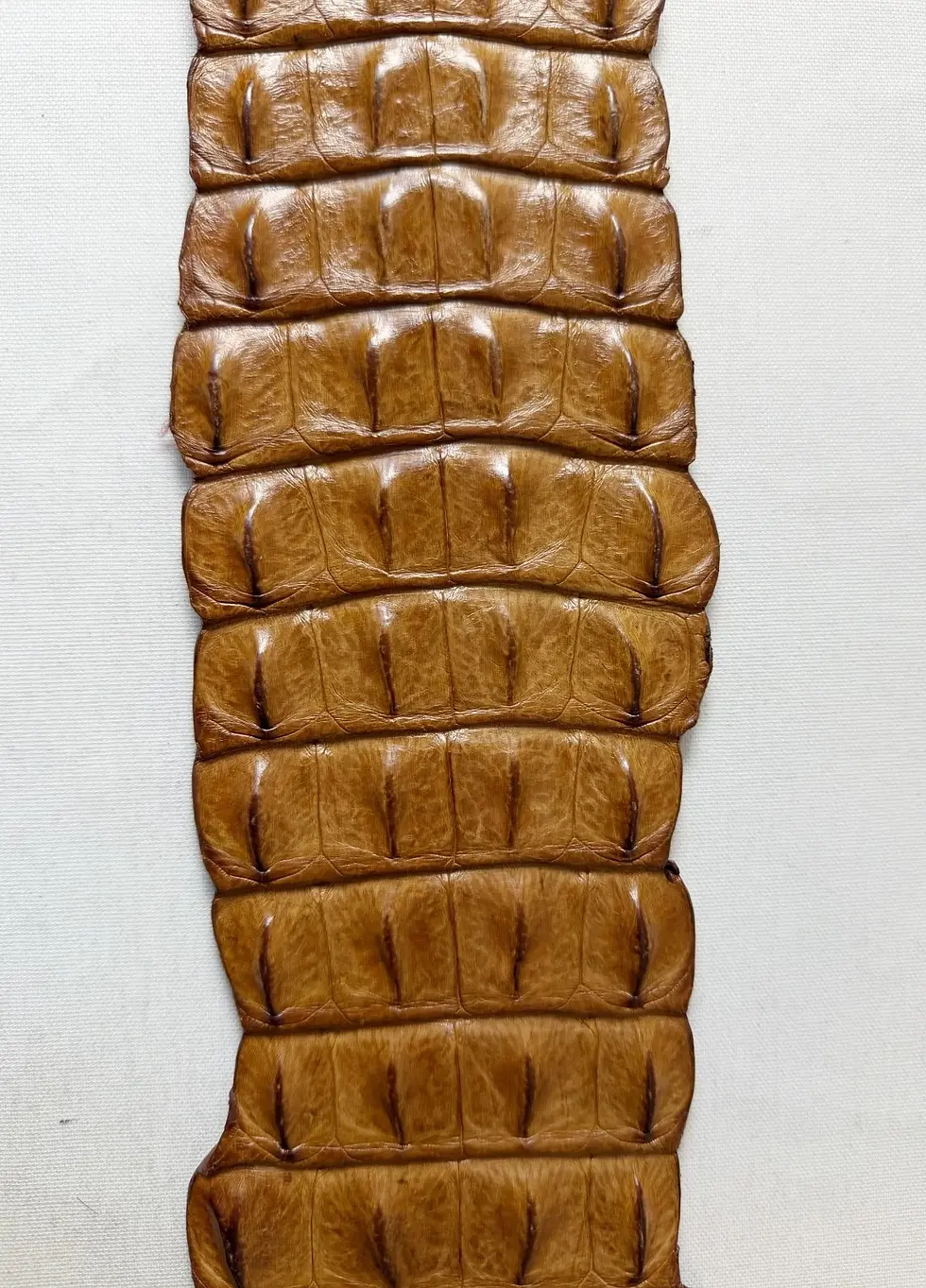 縮圖：KULU Cognac Crocodile Natural Scale Leather Skin Hook Belt Medium Brown M