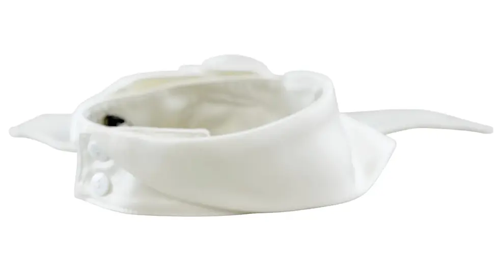 Miniatura: NWT JULIA ALLERT Blossom Evening Neckwear Collar Medium White Floral Satin