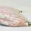 Thumbnail: CHRISTIAN DIOR Diorissimo Trotter Saddle Shoulder Bag Pink White Canvas