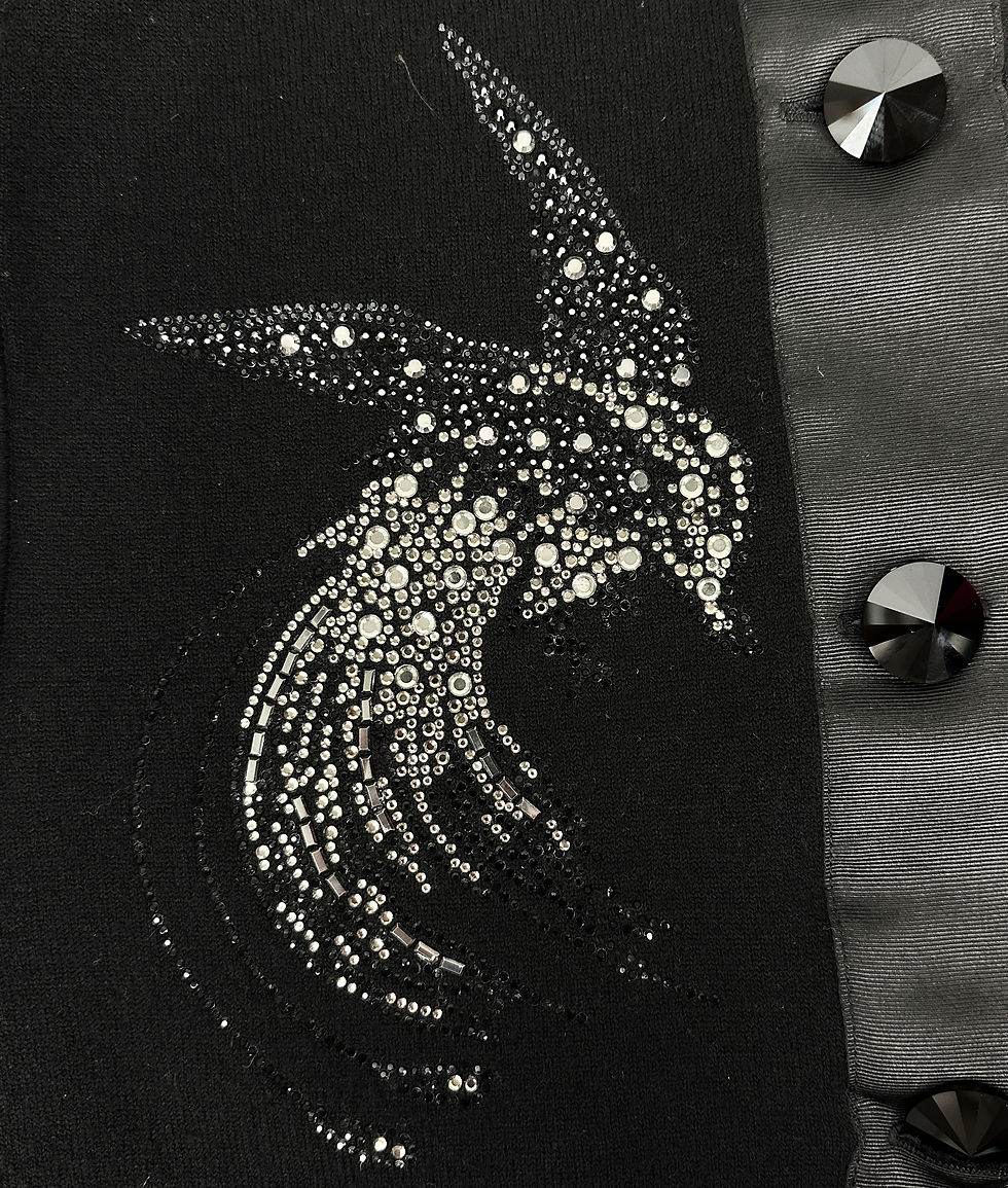 縮圖：NEW GIORGIO ARMANI Knit Jacket Cashmere 42 6 Satin Trimmed Black Bird Rhinestone