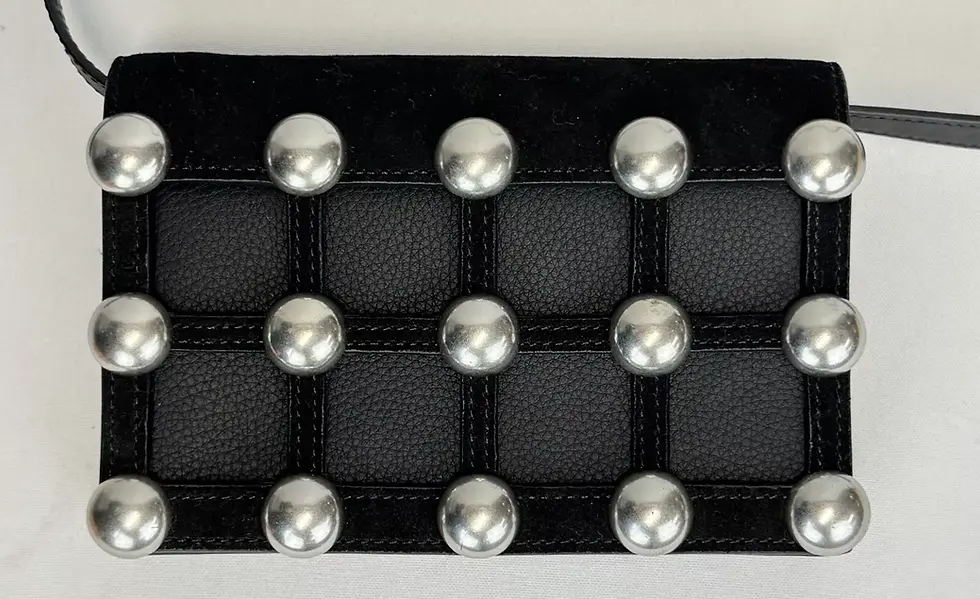 縮圖：NWOT ALEXANDER WANG Studded Leather Bag Black Suede Crossbody Cage Adjustable