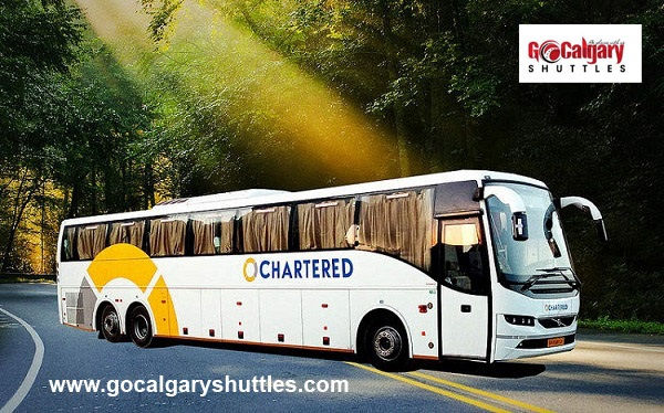 Why should you consider hiring bus charter services?