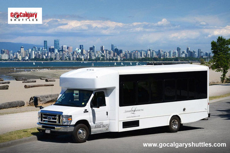 Airport Shuttle Bus Service