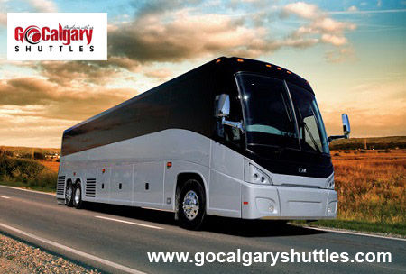 Cheap Charter Bus Rentals