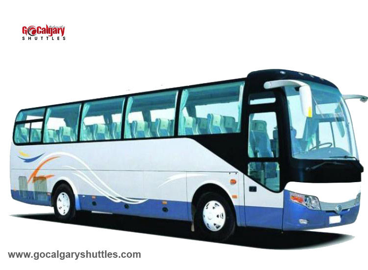 Mini bus Charter Rental