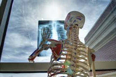 Learn More About Chiropractic Care