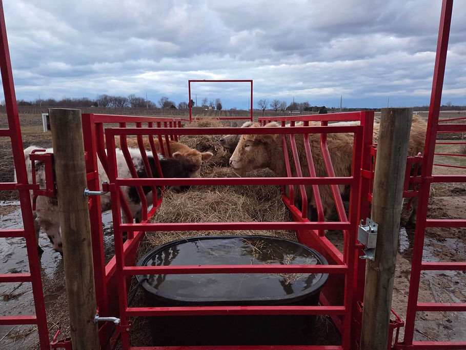 feeder panels red.jpg