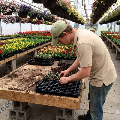 About us greenhouse pics (1).jpg