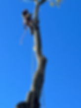 IMG_1188.jpeg