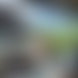 ♛悠悠小仙女♛