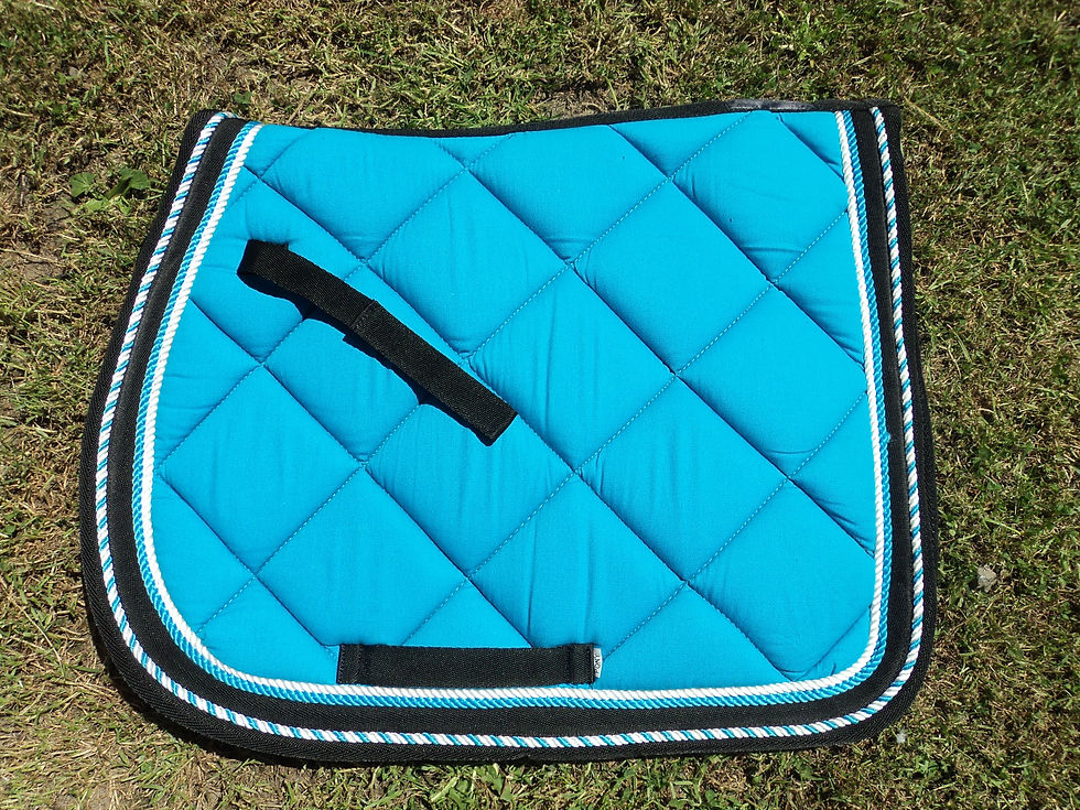 Thumbnail: All Purpose saddle blankets