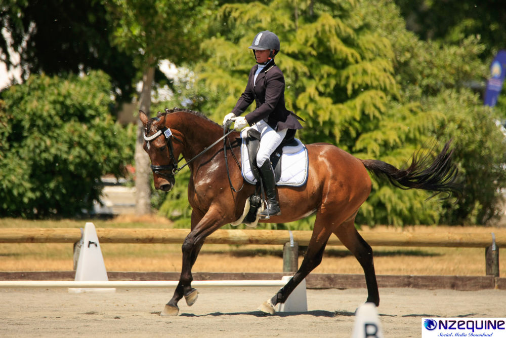 Eloquent Dressage saddle blanket