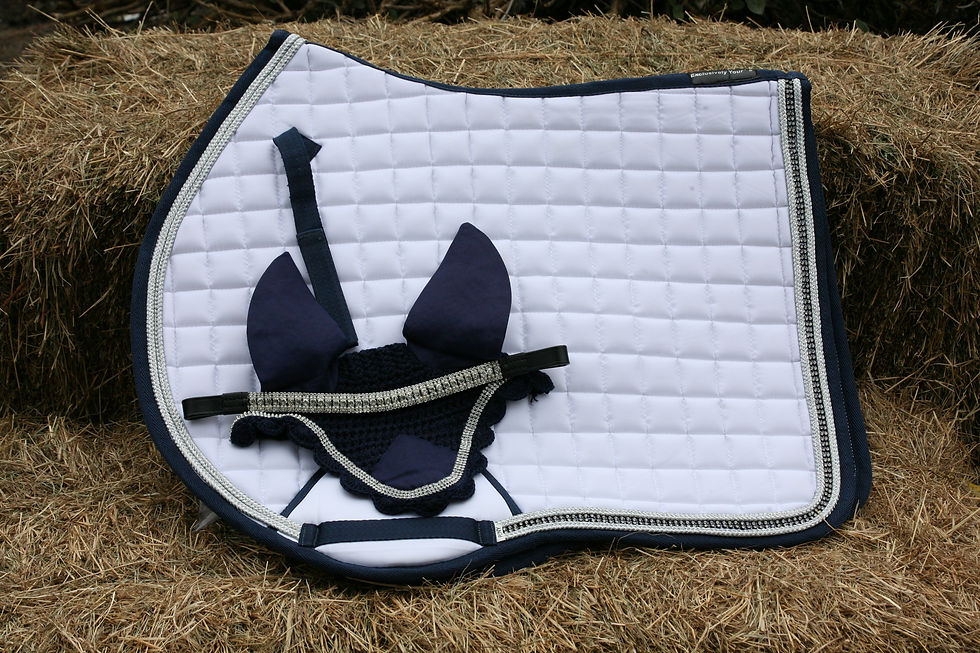 Thumbnail: Eloquent jumping saddle blanket
