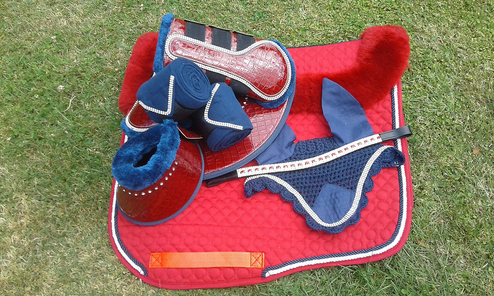 Thumbnail: Exquisite Dressage Collection