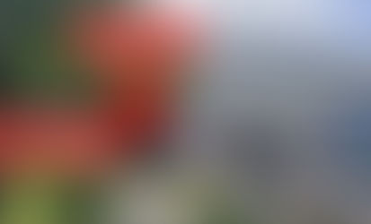 Про наш магазин Жіночого Взуття великих розмірів Laobuv42.com