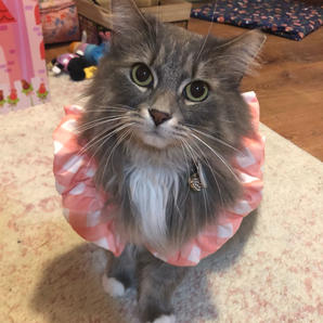 Quincy Rose: "Don't let that sweet face fool you!"