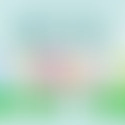 台電尖山電廠冰棒