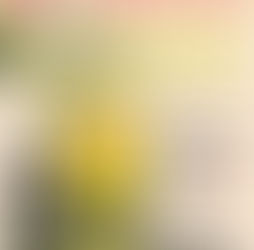 台電優惠專案-土耳其原裝進口初榨特級橄欖油禮盒