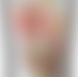 朱家麻花捲團購⚝⚝第二團⚝⚝