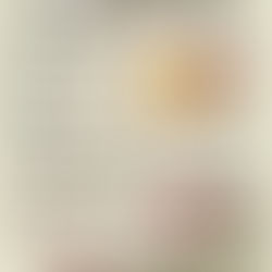 團購-蘭陽電廠冰棒