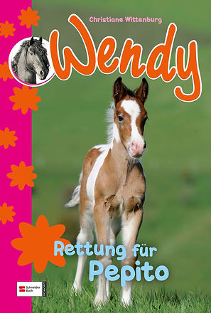 cover_9783505126260.jpg