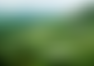 Did the feudal Japanese eat rice?