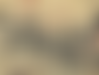 How to cook a Sengoku Warrior's Ration