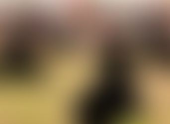 A critical discussion on kata