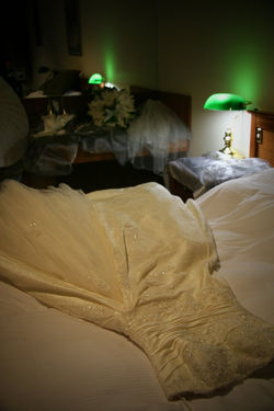 wedding photographer in Mt bulla