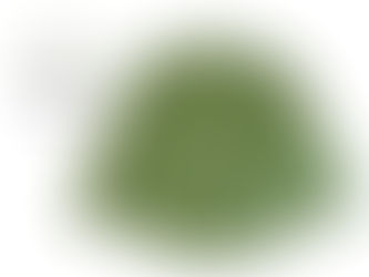 限定色SPRING GREENを使って麻のシャツを染色