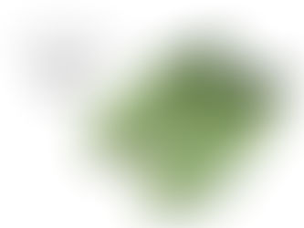 新色GRASS GREENでシューズの染色