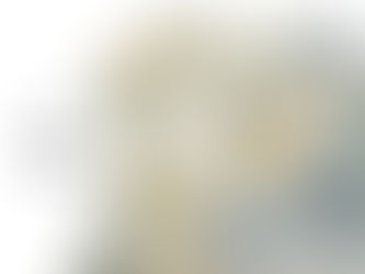 雪で染色“SNOW DYE”