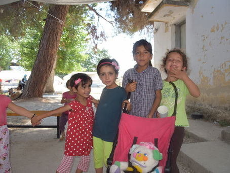 Curious November: movement and winter