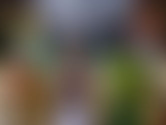 Europe's far-Right harming refugees across the world