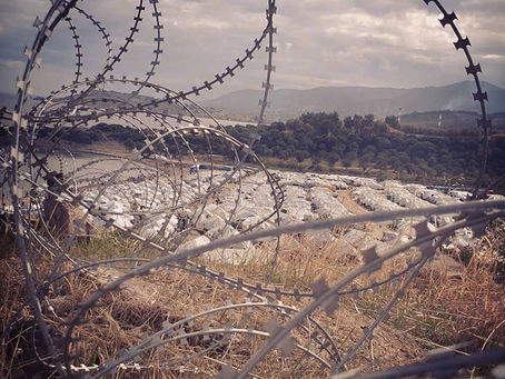 One Year On: We Need Your Help, Commissioner