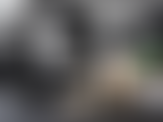 Protein bottle, protein powder, workout equipment displayed