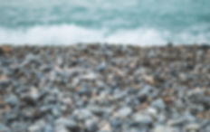 Pebble Beach