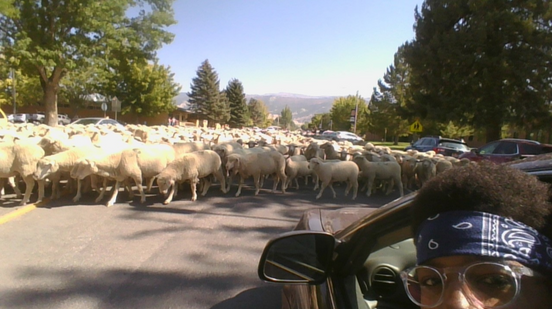 Brandon Williams - _turn on the right street in ephraim and you might see magic_ - ihate f