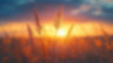 Nature Background, High-Resolution Wallpaper for a Serene and Stunning View.jpg