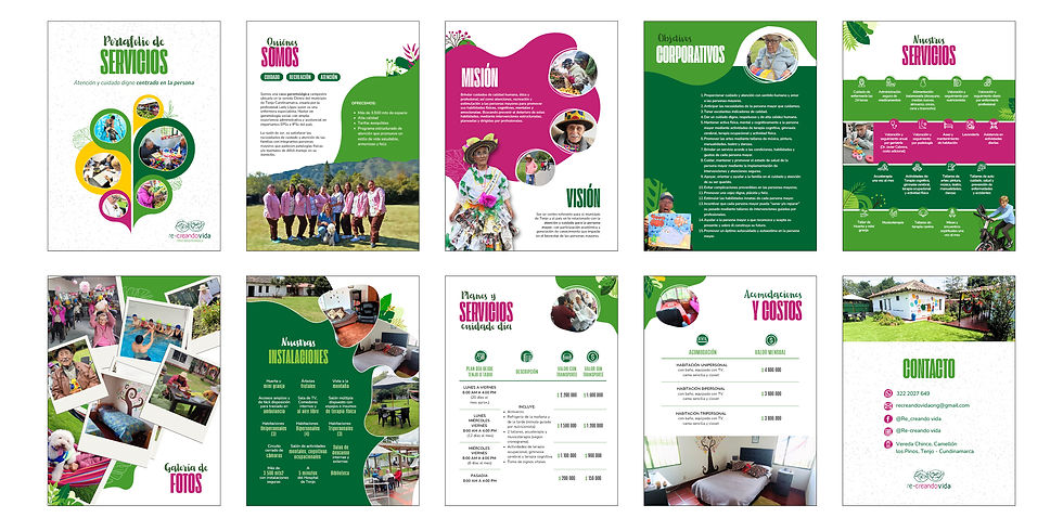 Brochure Recreando vida (2026)