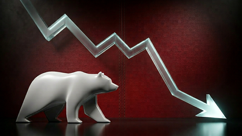 Surviving The Bear Market