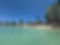 IMG_4220.jpeg